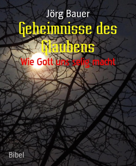Geheimnisse des Glaubens - Jörg Bauer