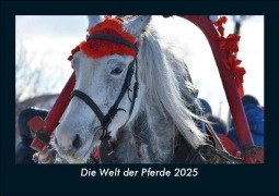 Cover-Bild zum Titel 'Die Welt der Pferde 2025 Fotokalender DIN A5' von 'Tobias Becker'