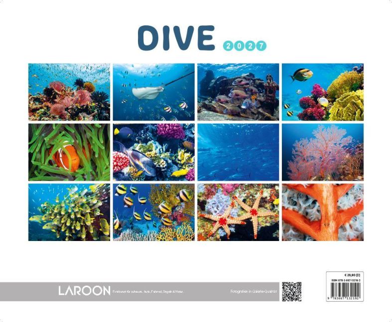InsideView 13