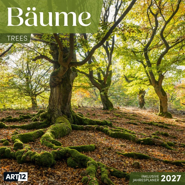 Bäume Kalender 2027 - 30x30 - Art12 - Ackermann Kunstverlag GmbH