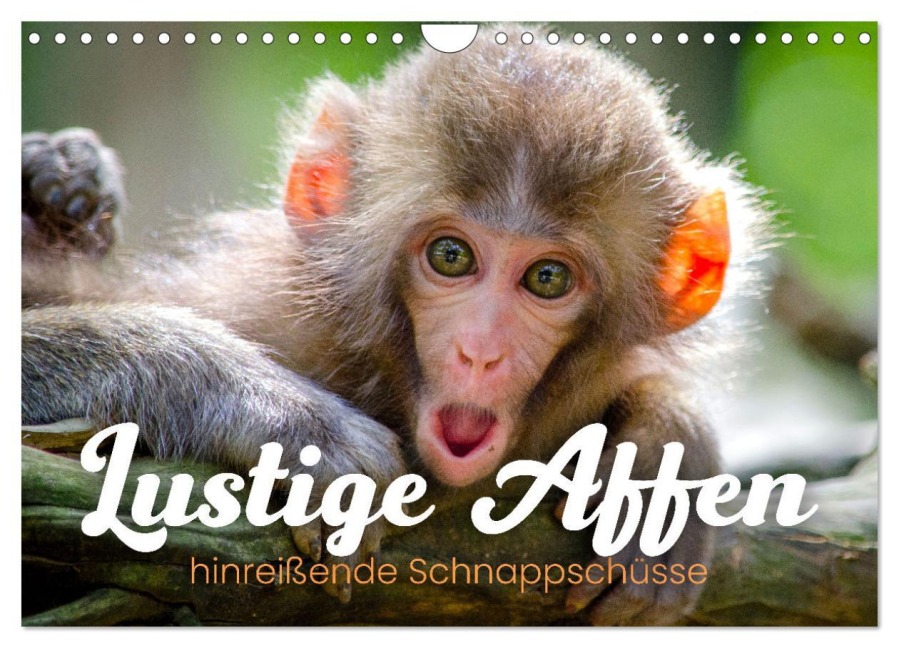 Lustige Affen - hinreißende Schnappschüsse (Wandkalender 2025 DIN A4 quer), CALVENDO Monatskalender - Happy Monkey
