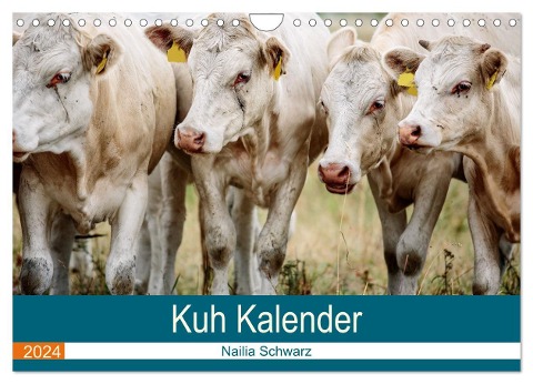Kur Kalender (Wandkalender 2024 DIN A4 quer), CALVENDO Monatskalender - Nailia Schwarz