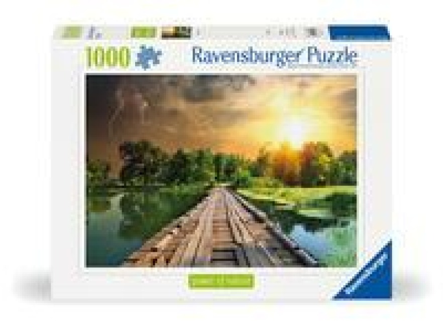Erwachsenenpuzzle 1000 Teile - Mystisches Licht - 