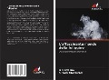 Cover-Bild zum Titel 'L'affascinante mondo della fuliggine' von 'M S Swapna, S. Sankararaman'