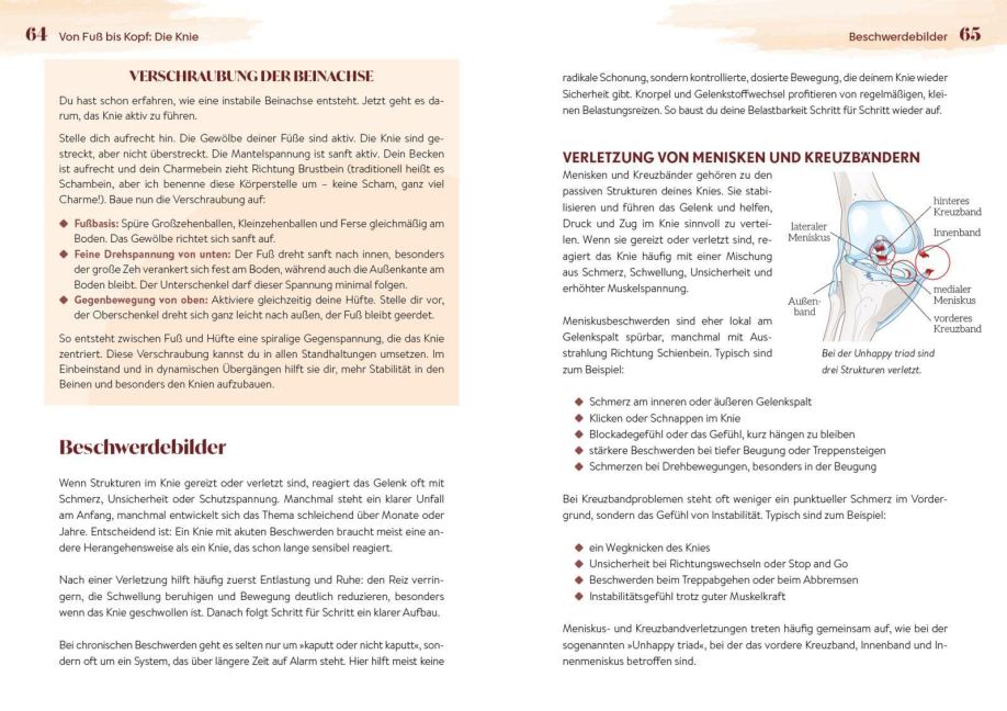 InsideView 4