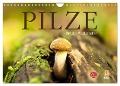 Pilze - fleißige Waldarbeiter (Wandkalender 2024 DIN A4 quer), CALVENDO Monatskalender - Markus Wuchenauer - Pixelrohkost