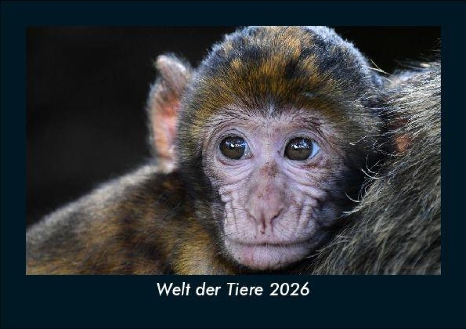 Welt der Tiere 2026 Fotokalender DIN A5 - Tobias Becker