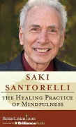 The Healing Practice of Mindfulness - Saki Santorelli