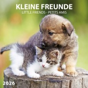Cover-Bild zum Titel 'Kleine Freunde/Little Friends 2026' von ''