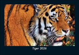Cover-Bild zum Titel 'Tiger 2026 Fotokalender DIN A5' von 'Tobias Becker'