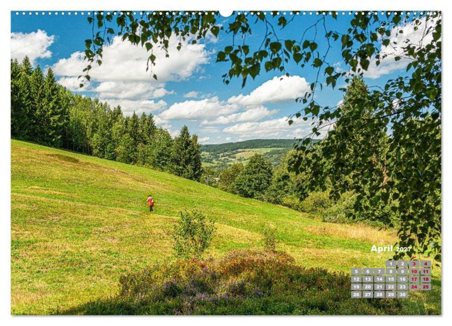 InsideView 8
