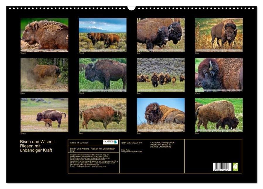 InsideView 5