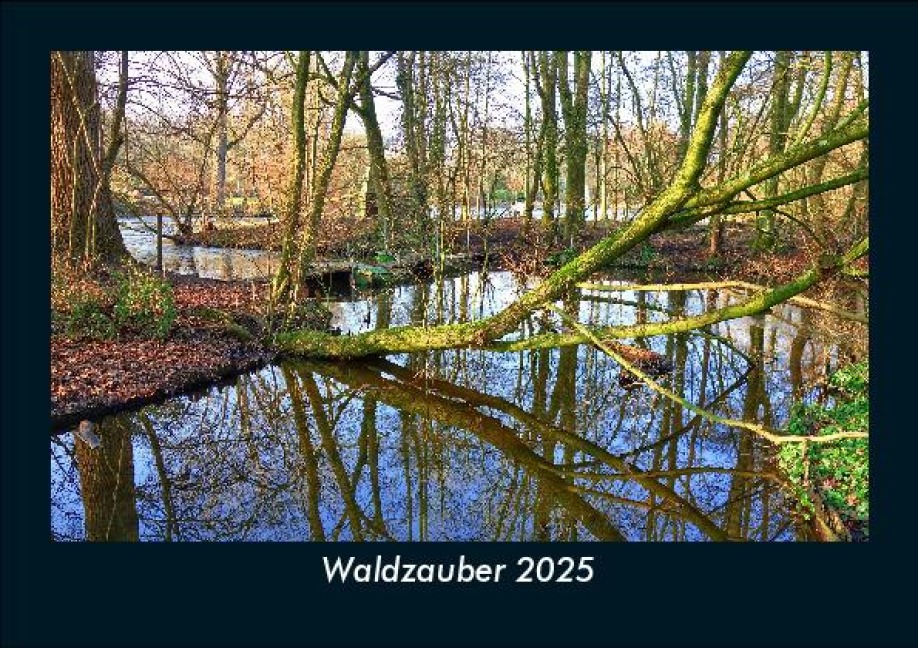Waldzauber 2025 Fotokalender DIN A5 - Tobias Becker