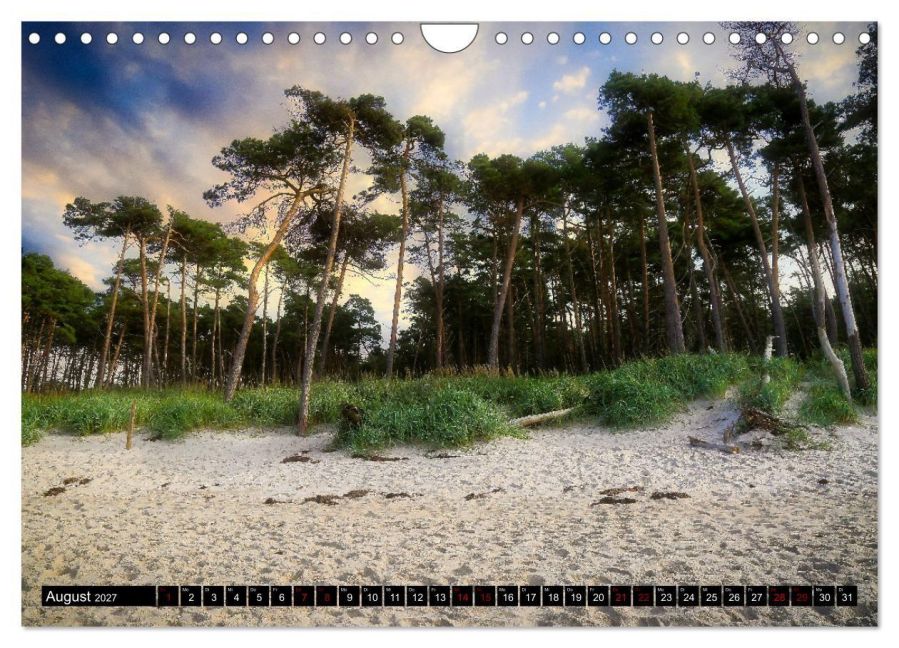InsideView 13