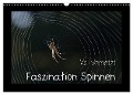Voll vernetzt - Faszination Spinnen (Wandkalender 2024 DIN A3 quer), CALVENDO Monatskalender - Sigrid Enkemeier