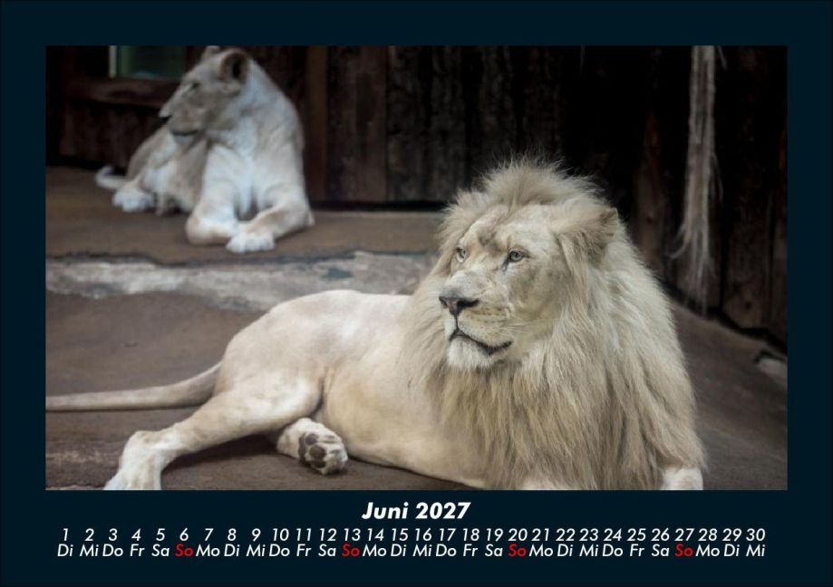 InsideView 10