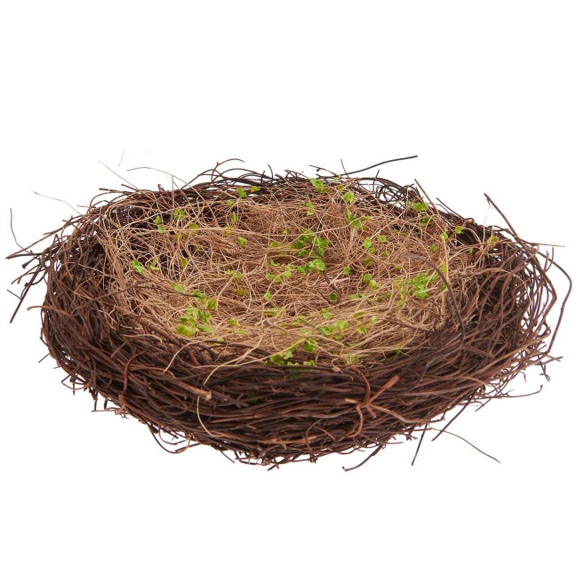 Naturnest mit Gras, Ø=20cm - 
