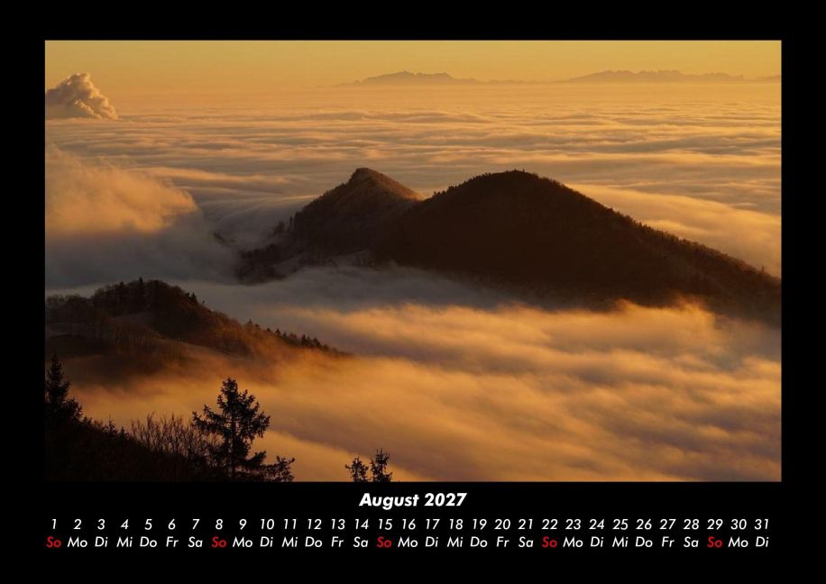 InsideView 12