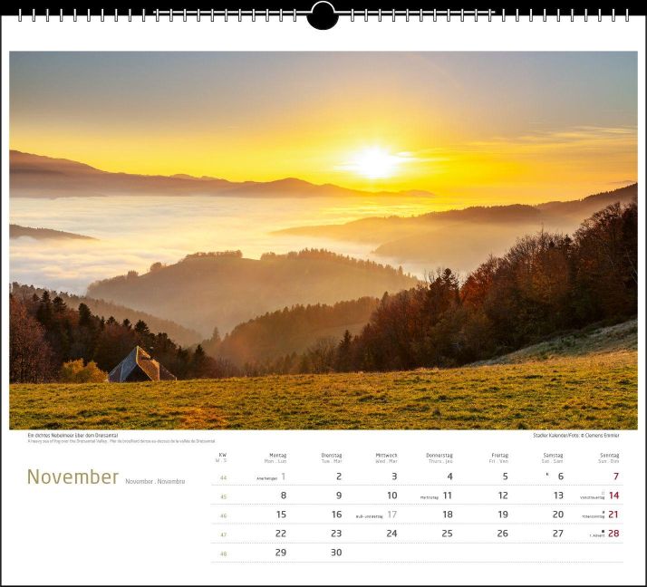 InsideView 11