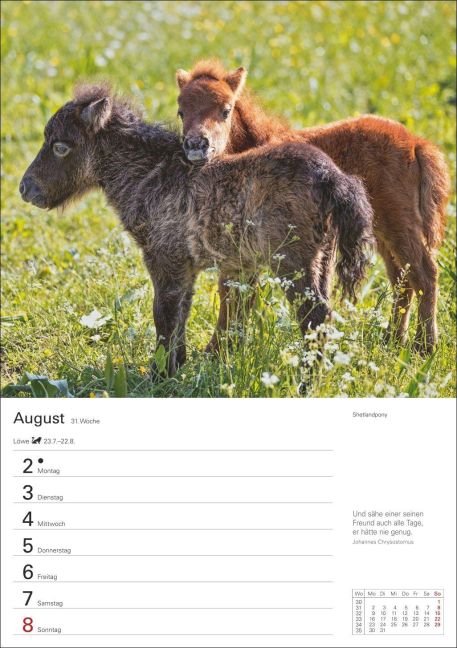 InsideView 12