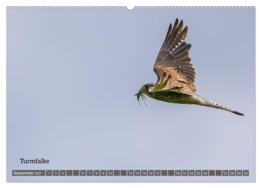 InsideView 13