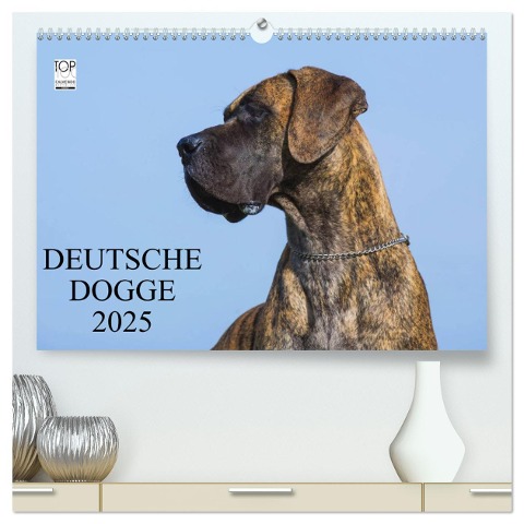 Deutsche Dogge 2025 (hochwertiger Premium Wandkalender 2025 DIN A2 quer), Kunstdruck in Hochglanz - Sigrid Starick
