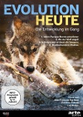 Evolution heute: Die Entwicklung im Gang - Christophe Abegg, Luc Riolon, Guillaume Vincent, Félix Sabal Lecco