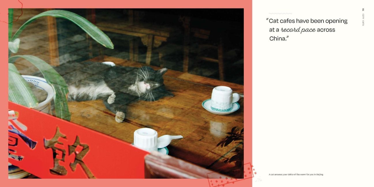 InsideView 15