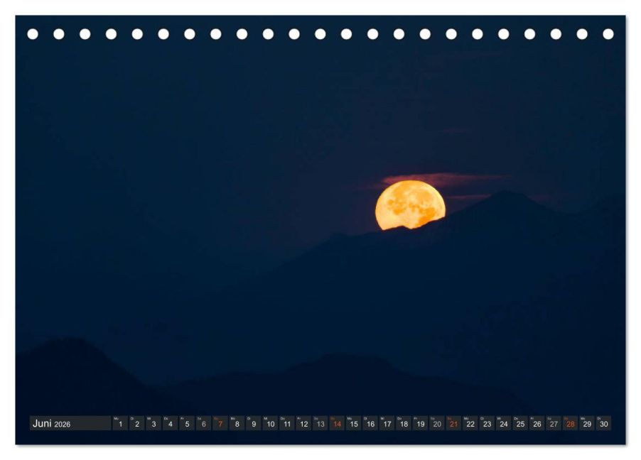InsideView 11