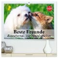 Beste Freunde. Bezaubernde Tierfreundschaften (hochwertiger Premium Wandkalender 2024 DIN A2 quer), Kunstdruck in Hochglanz - Elisabeth Stanzer