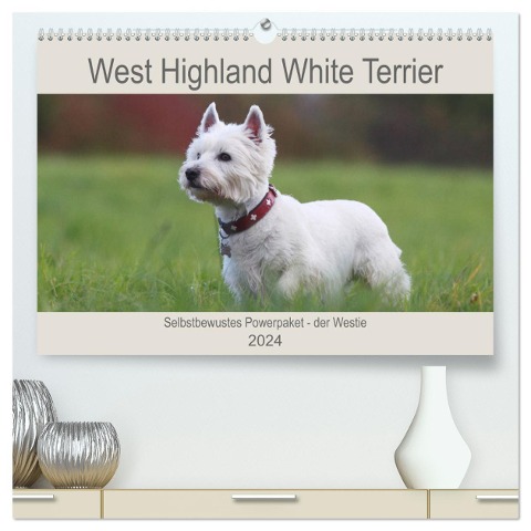 West Highland White Terrier - Selbstbewustes Powerpaket - der Westie (hochwertiger Premium Wandkalender 2024 DIN A2 quer), Kunstdruck in Hochglanz - Barbara Mielewczyk