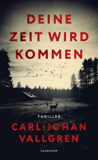Deine Zeit wird kommen - Carl-Johan Vallgren