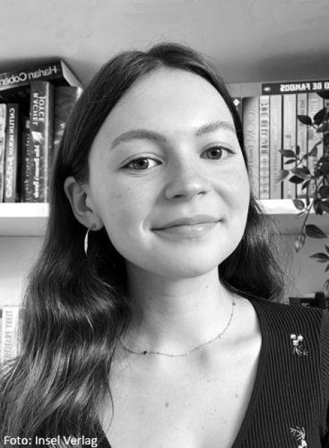 InsideView 3