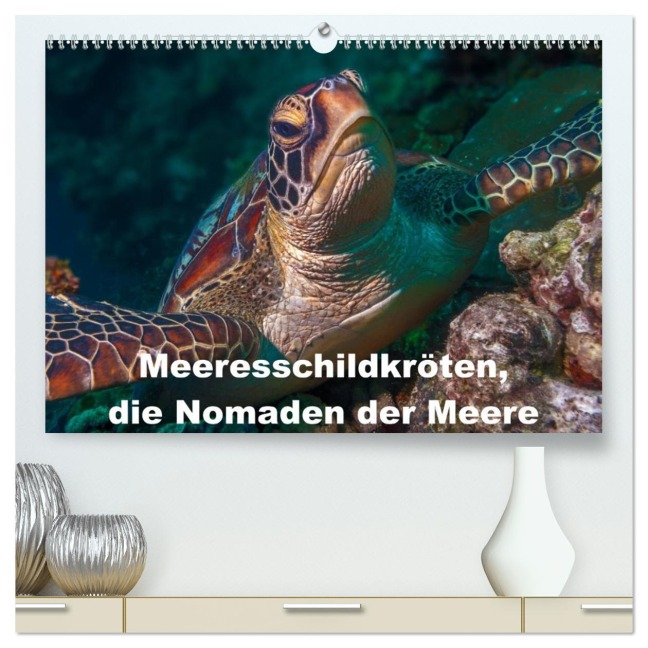 Meeresschildkröten, die Nomaden der Meere (hochwertiger Premium Wandkalender 2026 DIN A2 quer), Kunstdruck in Hochglanz - Dieter Gödecke