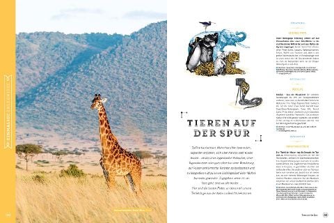 InsideView 11