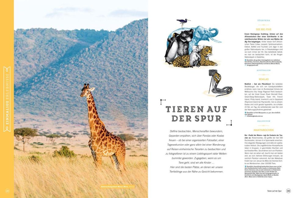 InsideView 11