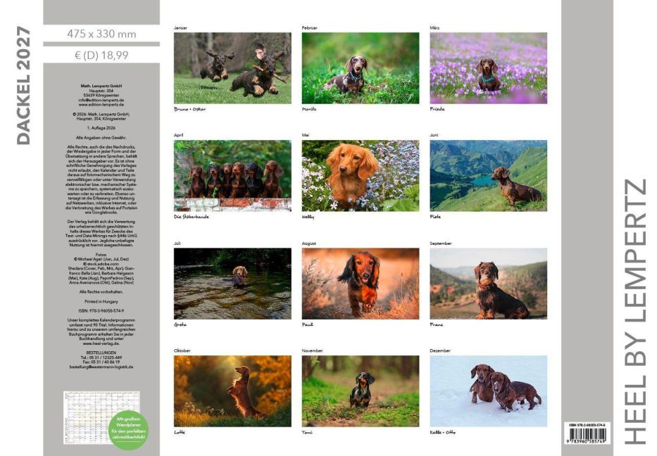 InsideView 13
