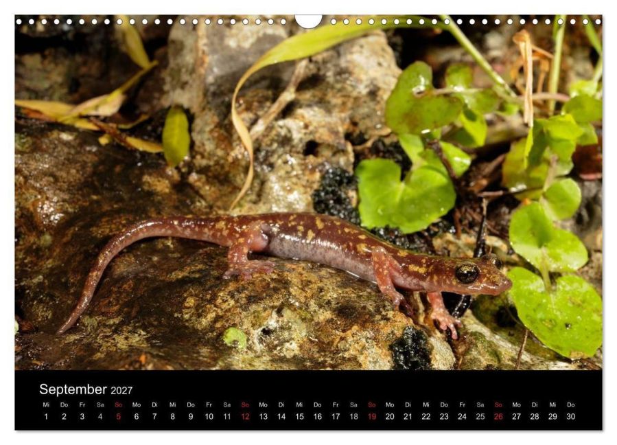 InsideView 14