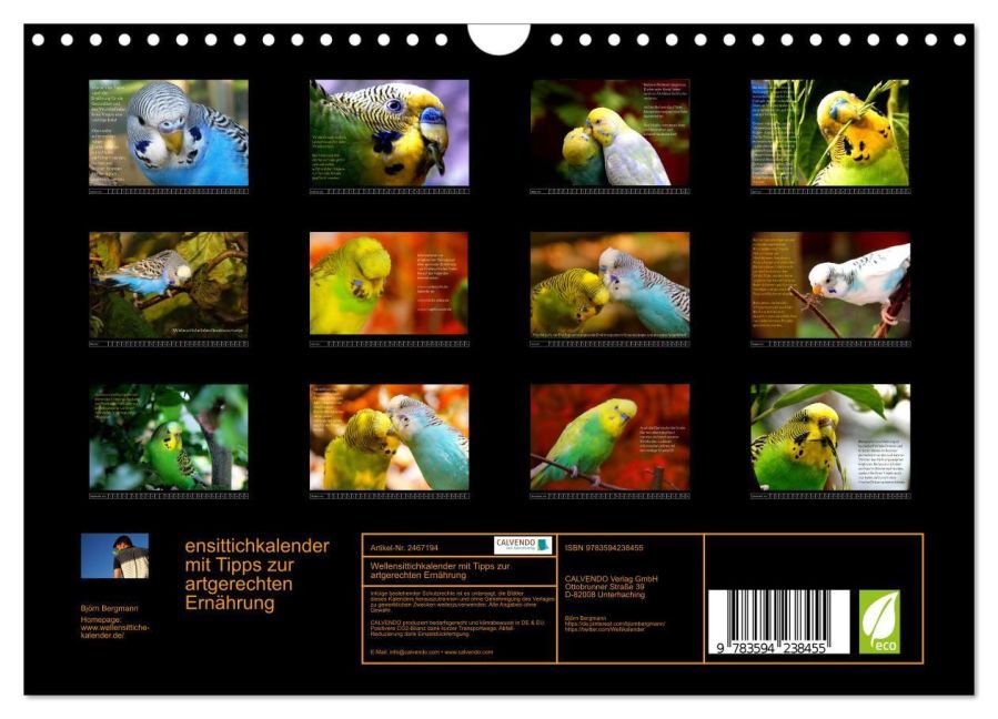 InsideView 5