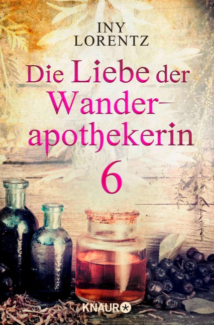 Die Liebe der Wanderapothekerin 6 - Iny Lorentz