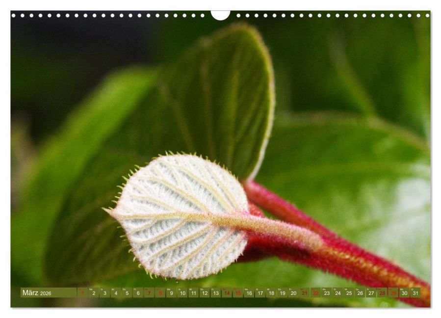 InsideView 8