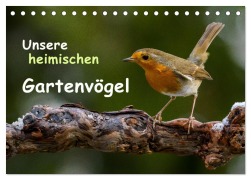 Cover-Bild zum Titel 'Unsere heimischen Gartenvögel (Tischkalender 2026 DIN A5 quer), CALVENDO Monatskalender' von 'Dieter Wilczek'