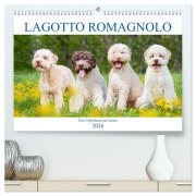 Lagotto Romagnolo - Der Trüffelhund aus Italien (hochwertiger Premium Wandkalender 2026 DIN A2 quer), Kunstdruck in Hochglanz - Sigrid Starick
