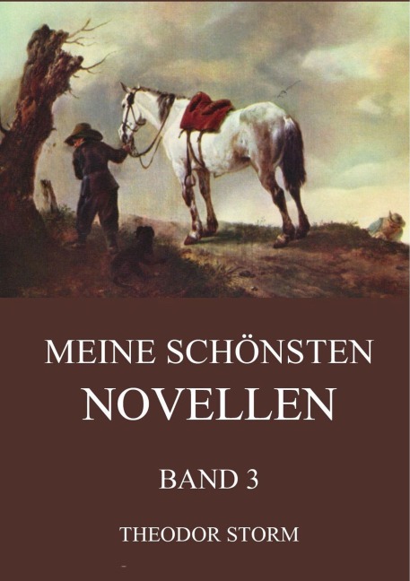 Meine schönsten Novellen, Band 3 - Theodor Storm