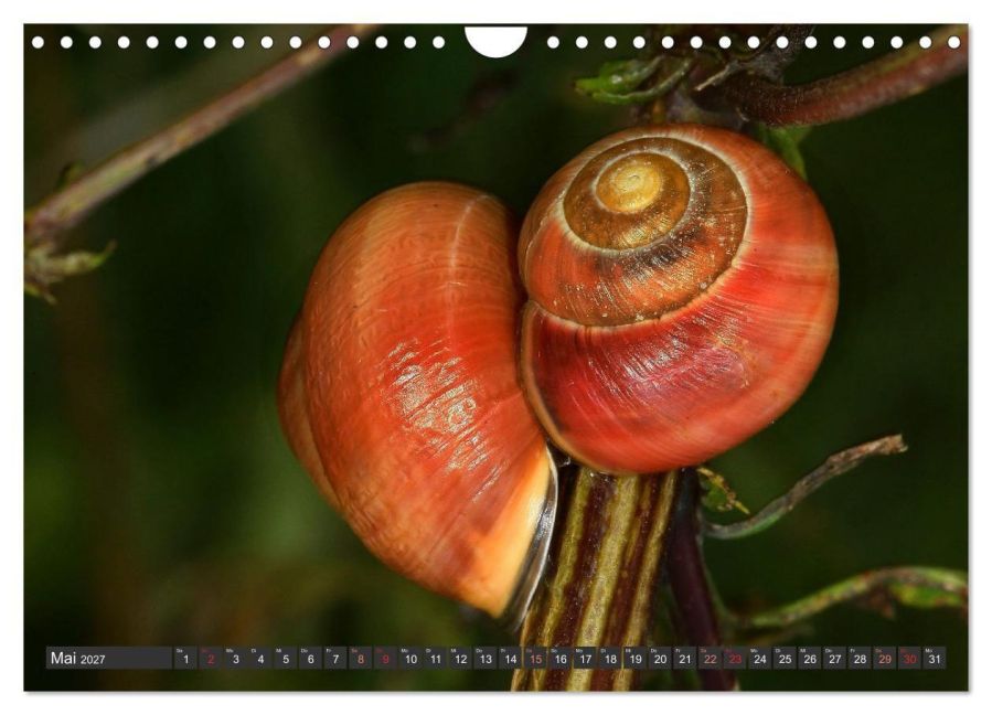 InsideView 10