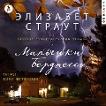 Cover-Bild zum Titel 'The Burgess Boys' von 'Elizabeth Strout'