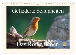 Gefiederte Schönheiten - Das Rotkehlchen (Wandkalender 2026 DIN A4 quer), CALVENDO Monatskalender - Rolf Pötsch