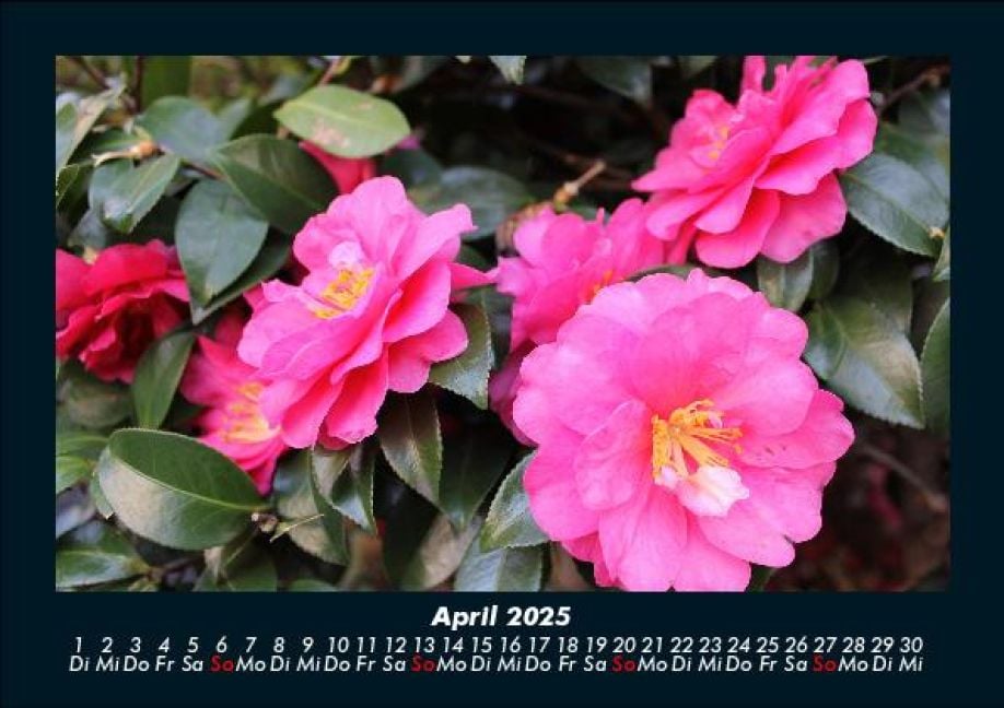 InsideView 8