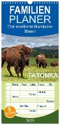 Familienplaner 2025 - TATONKA Der nordamerikanische Bison mit 5 Spalten (Wandkalender, 21 x 45 cm) CALVENDO - Dieter-M. Wilczek