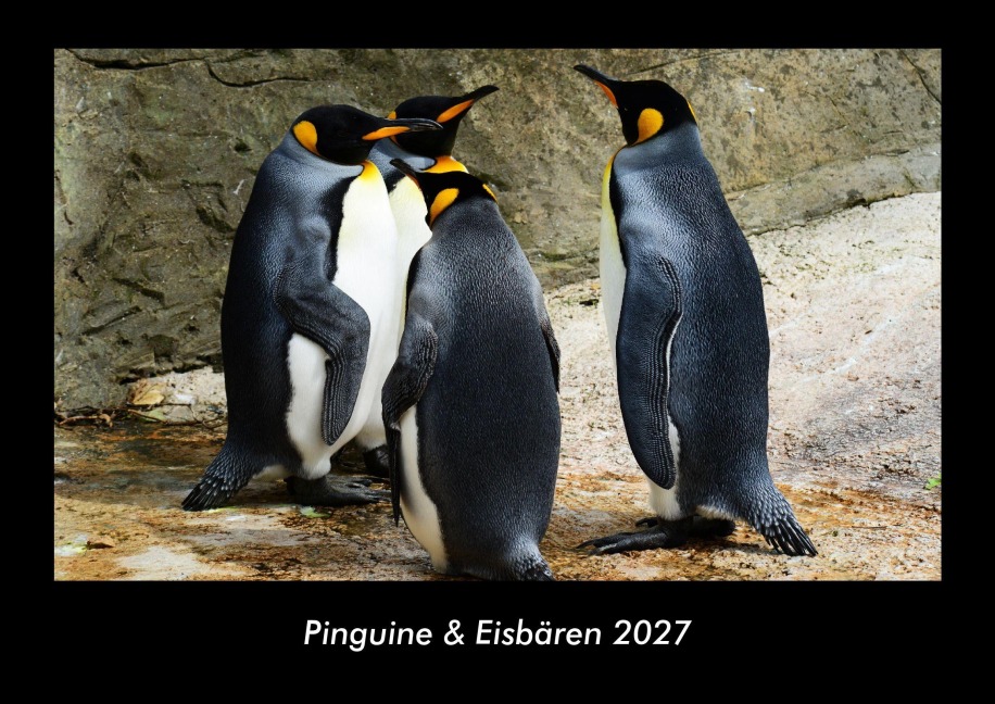 Pinguine & Eisbären 2027 Fotokalender DIN A3 - Tobias Becker